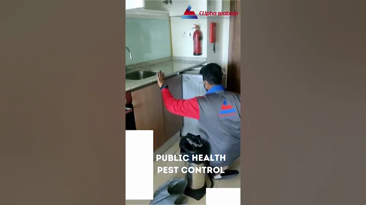 Public Health Pest Control in Dubai | Alpha Arabian