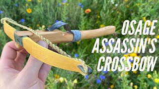 Osage Assassin's Crossbow