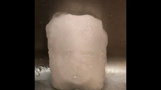 My First Ice Sculpture.