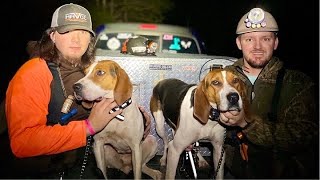 COON HUNTING: WE FOUND STARS LITTER MATE!!!!!