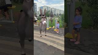 Parkımıza Eşek Girmiş