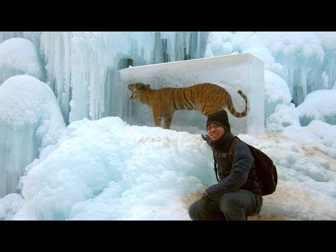Wideo: Dlaczego lód śni, góra lodowa we śnie?
