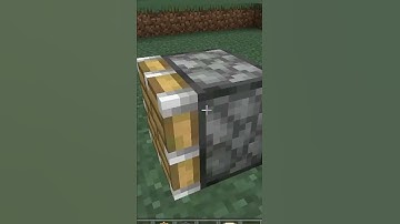 Minecraft weird logic || #6 #shorts #youtubeshorts