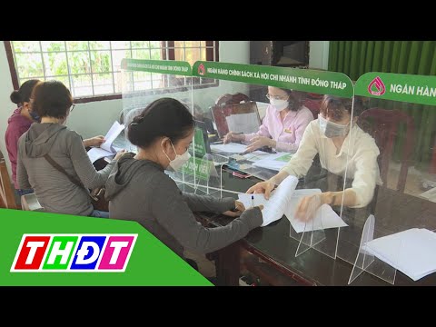 Video Tín dụng chính sách đồng hành cùng người dân sau đại... - youtube