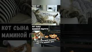 Мемы какая то там часть #мемы #котики #2025 #рекомендации #барнаул #новыйтрек #JDdijey