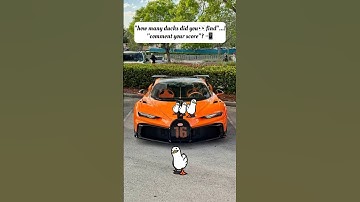 "Only 1% Can Spot the Cat… 10 Ducks Are Easy 😭🔥" #findthedifference #hiddenobjects