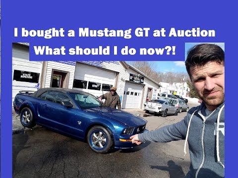 What should I do?! Mustang GT at a dealer only auction Vlog