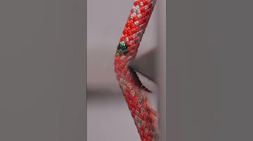 Surprising Effect Of Dirt On Climbing Ropes 
