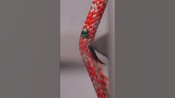 Surprising Effect of Dirt on Climbing Ropes