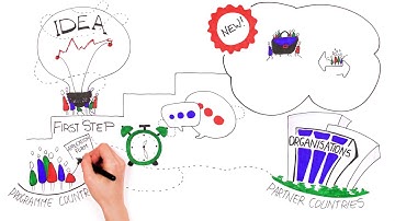 2.4.1 Make youth exchanges between programme and partner countries