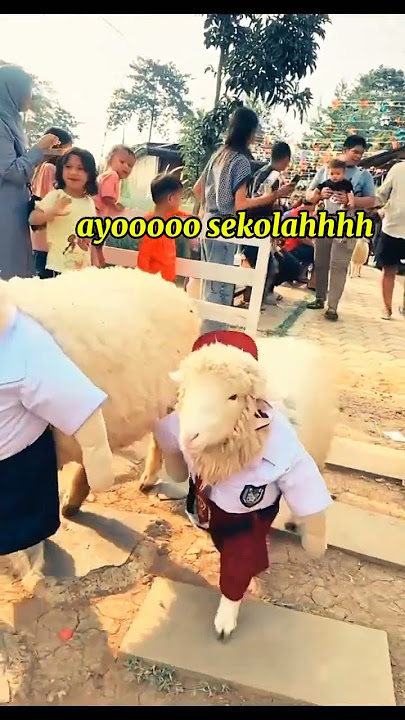 kambing lucu #viralvideo #funny #unik