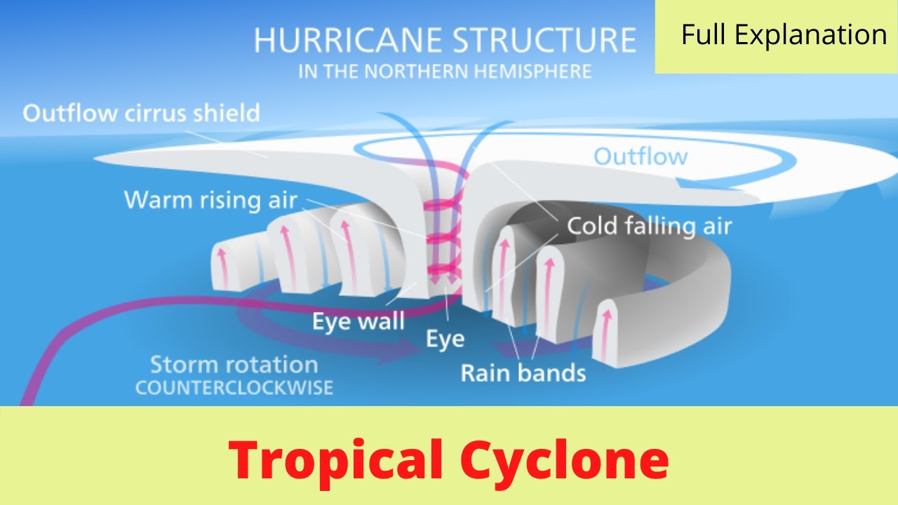 formulate the hypothesis of tropical cyclone