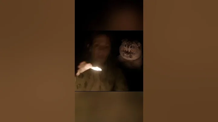 The Conjuring (Cat version) #Conjuring #movie #cat #funny #scary #parody #jumpscare #horror