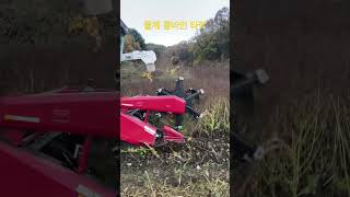 들깨 콤바인 수확하는 방법 #얀마 #yanmar #콤바인 #들깨 #들깨키트
