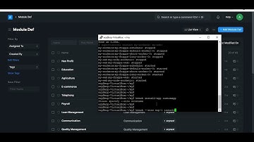 How to Create Custom app in ERPNext