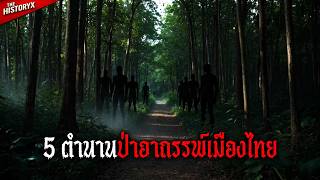 The Curse Of 5 Of Thailands Most Haunted Forests Stories And Legends That Still Exist  Thehis