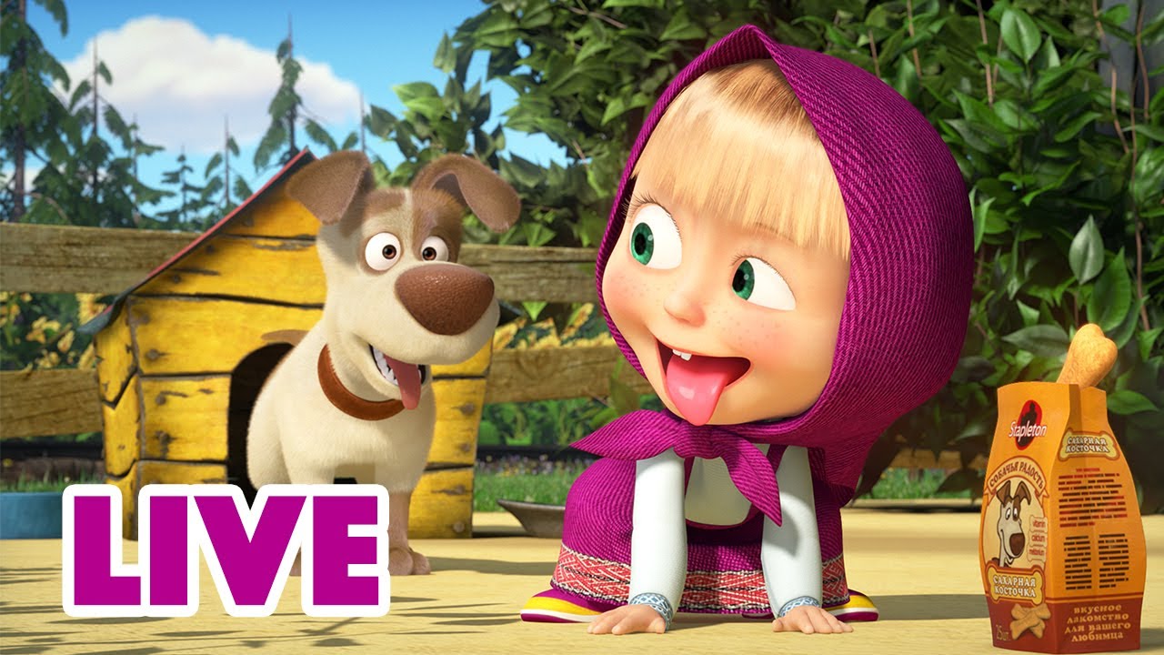 ماشا والدب 👱‍♀️ LIVE STREAM! 🌟 أعز أصدقائي 👧🐻 Masha and the Bear - YouTube