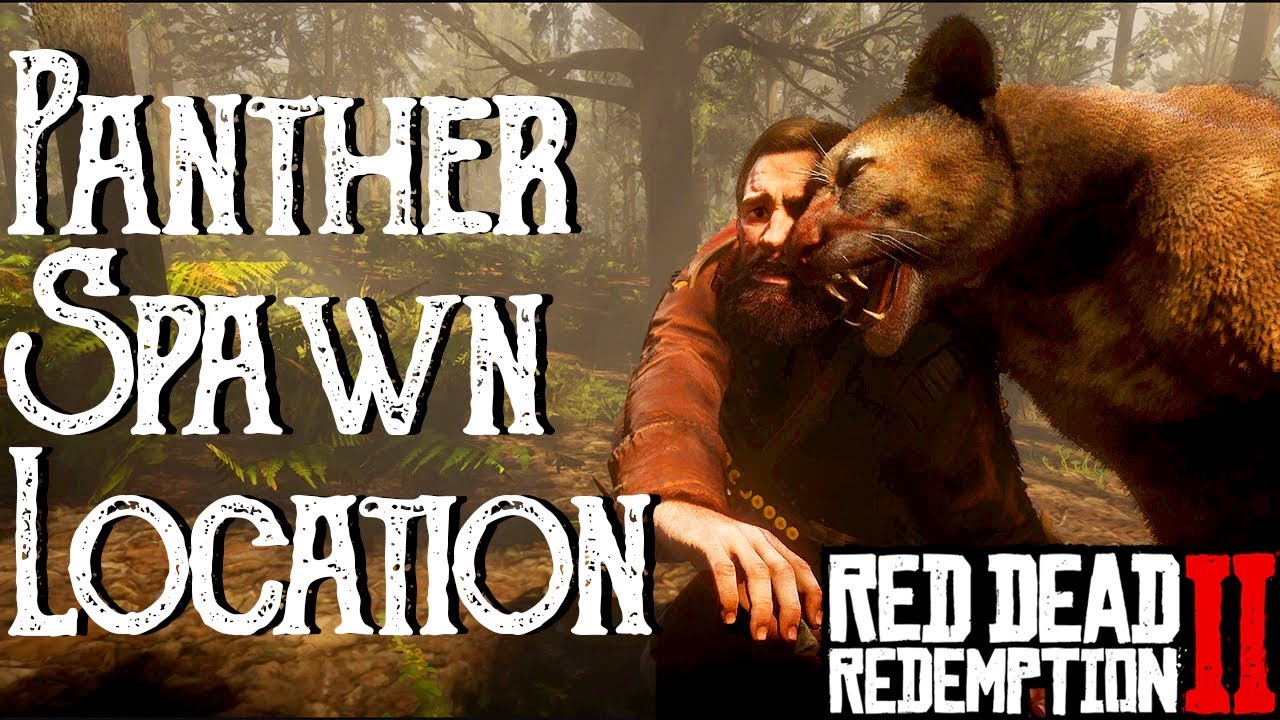 RDR2 and Panther Location | Perfect Pelt (Read Description) Red Dead Redemption 2 - YouTube