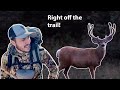 HIGH COUNTRY MULE DEER HUNT EP. 1