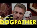 A Day in the Life of The DOGFATHER (James Guiliani) A former mafia enforcer turned animal savior A Day in the Life of The DOGFATHER (James Guiliani) A former mafia enforcer turned animal savior