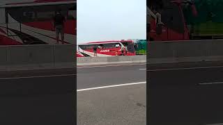 Kecelakaan Bus Agra Mas Vs Truk Tronton Di Tol Pejagan 3 Orang Tewas Dan 5 Luka-Luka