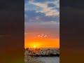 علي باب السيما تذكرتي قديمة امير كاريوكي امير عيد