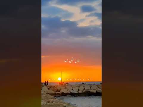 علي باب السيما تذكرتي قديمة امير كاريوكي امير عيد