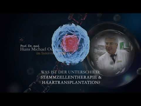 Video: Stammzell-Haartransplantation: Was Ist Das Und Wann Wird Es Verfügbar Sein?