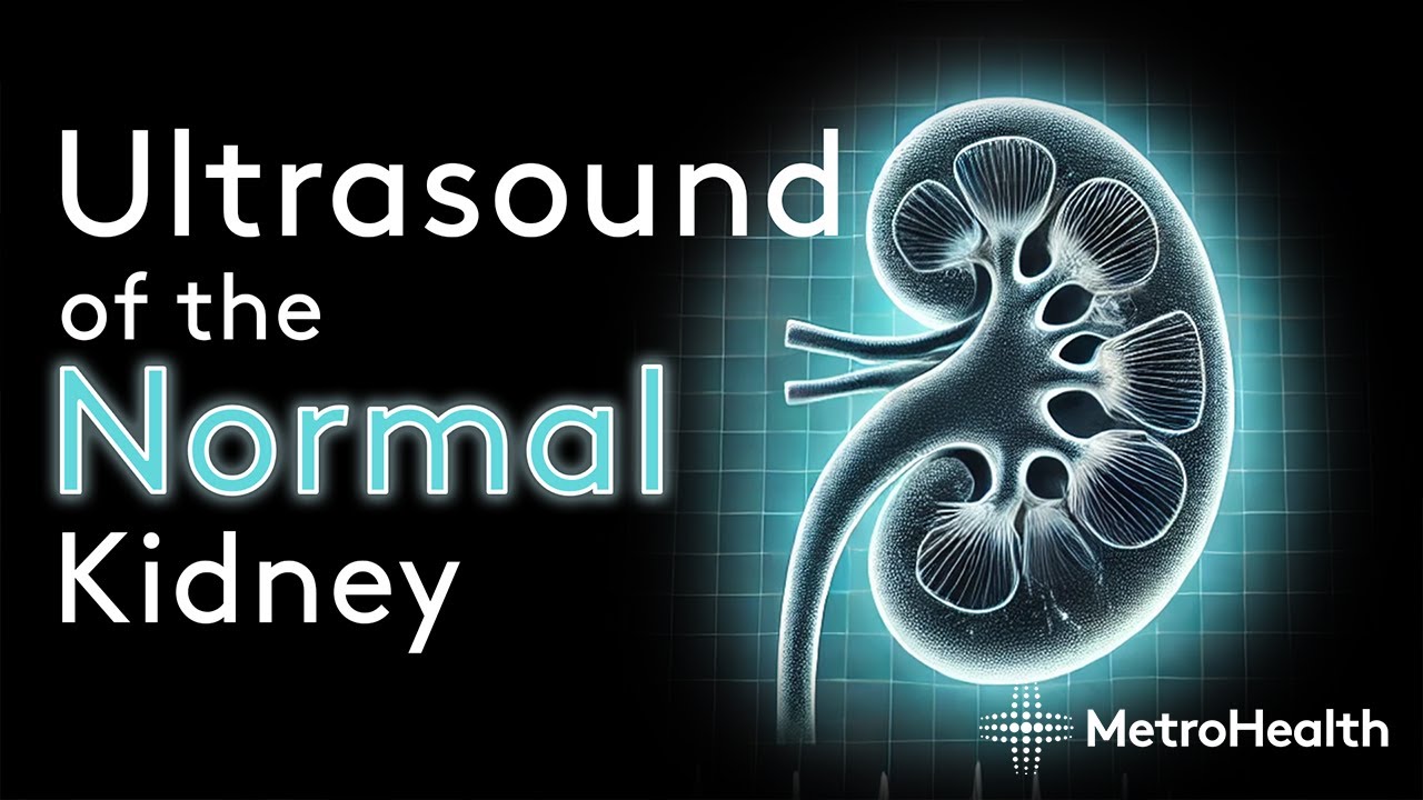 Ultrasound of the Normal Kidney