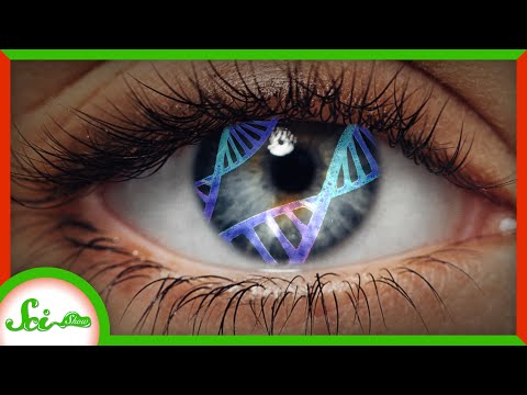 Treating Blindness With Light (and Gene Therapy) | SciShow News