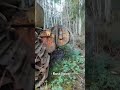 Old Catebillars in forest #rust #rustvolvo #abandoned #Catebillar #junkyard #setämies
