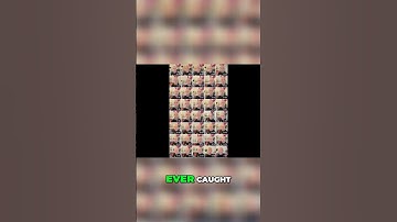 #001 Het foutenlogboek (blunders en fouten) - SQL Server-injectievideo