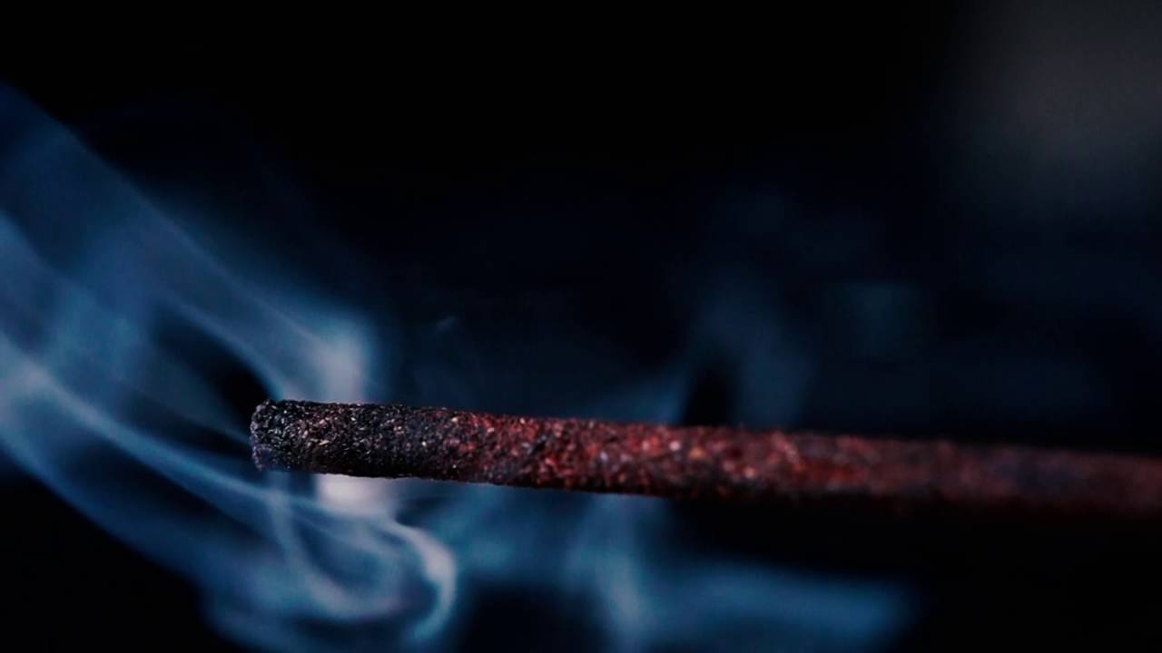 Macro shoots with Opteka 10x Macro HD2 Platinum series on a Sony alpha 3000 w/18-55mm e mount