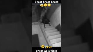 Jinn Kaisa Dikhta Hai Dekh Lo Sajjad Saleem Diaries In Hindi