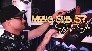 Moog Sub37 Synth Solo Goodness - Mike Pensini