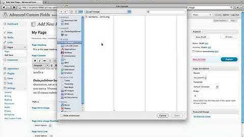 Advanced Custom Fields - WordPress Plugin - 2. Input Data