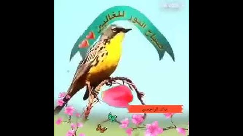 سورة الناس يبكي الحجر الشيخ عبد البسط رحمه الله