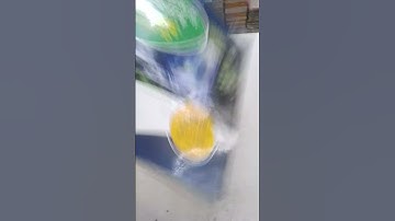 Arihant All in One Samajik Vigyan Class 10 for CBSE Exam 2024#book #cbse #questionbank #top #shorts