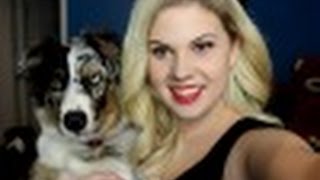 My Current Favorites! Ft DogVacay
