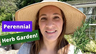 HOW TO care for Perennial Herbs  Zone 6 Herb Garden Tour and Maintenance