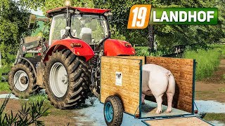 LS 19 Landhof #21: Die ersten SCHWEINE auf dem Hof! | LANDWIRTSCHAFTS SIMULATOR screenshot 4