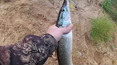 Рыбалка Наше Всё