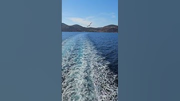 #سورة الفتح #القرآن_الكريم #راحة_نفسية #اكسبلور #beautiful #nature #travel #sea #ترند #لايك #تصويري