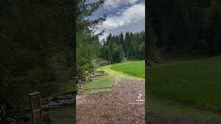 I took the easy spike hyser route? #discgolf #discgolfeveryday #frisbeegolf #shortsvideo #viral