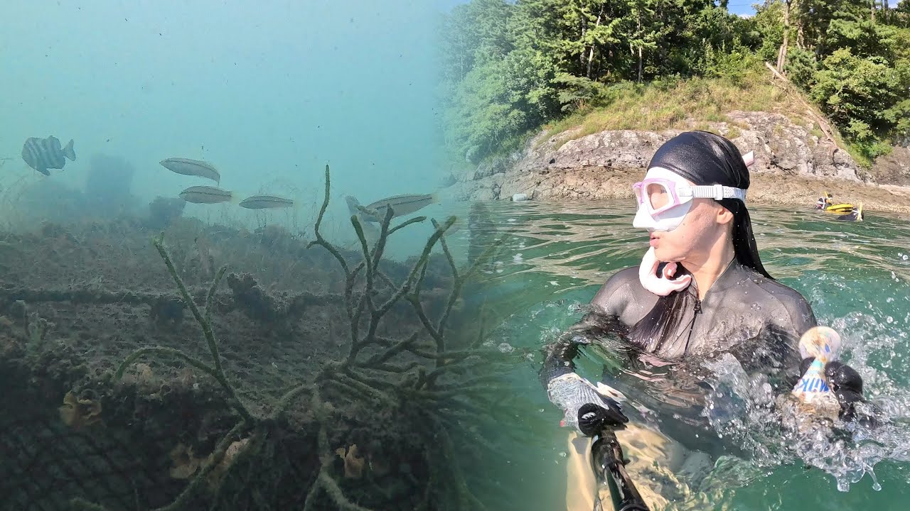통영 사량도 바다 쓰레기 줍기 ✌🏻 프리다이빙 vlog🤿