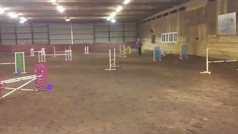 AKC Open Jumpers w/weaves. Q'd and 1st place