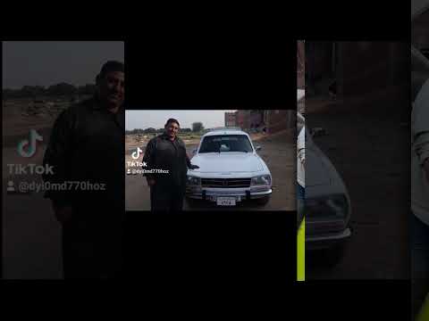 بيجو سمكرة اسامه ابو ربيع بلبيس شرقيه ٠١١١٩٦٨٠٤٥٥ ٠١٠٠٢٥٠٦٣٥٥