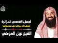 قصص للإسترخاء والنوم ستأخذك لعالم آخر أروع القصص المشوقة نبيل العوضي قصص للإسترخاء والنوم ستأخذك لعالم آخر أروع القصص المشوقة نبيل العوضي