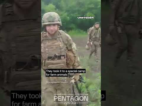 Ukrainian Soldiers Rescued a Baby Goat #warinukraine