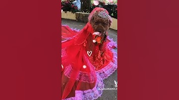 su xí xọn mãi mãi đỉnh fan su xí xọn mãi mãi đỉnh #ủnghộmìnhnhé #𝐅𝐚𝐧𝐬𝐮𝐬í𝐬ọ𝐜